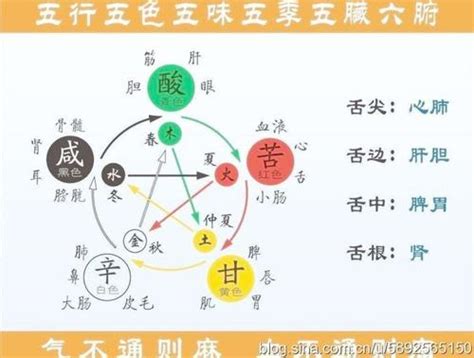 属金的人缺什么